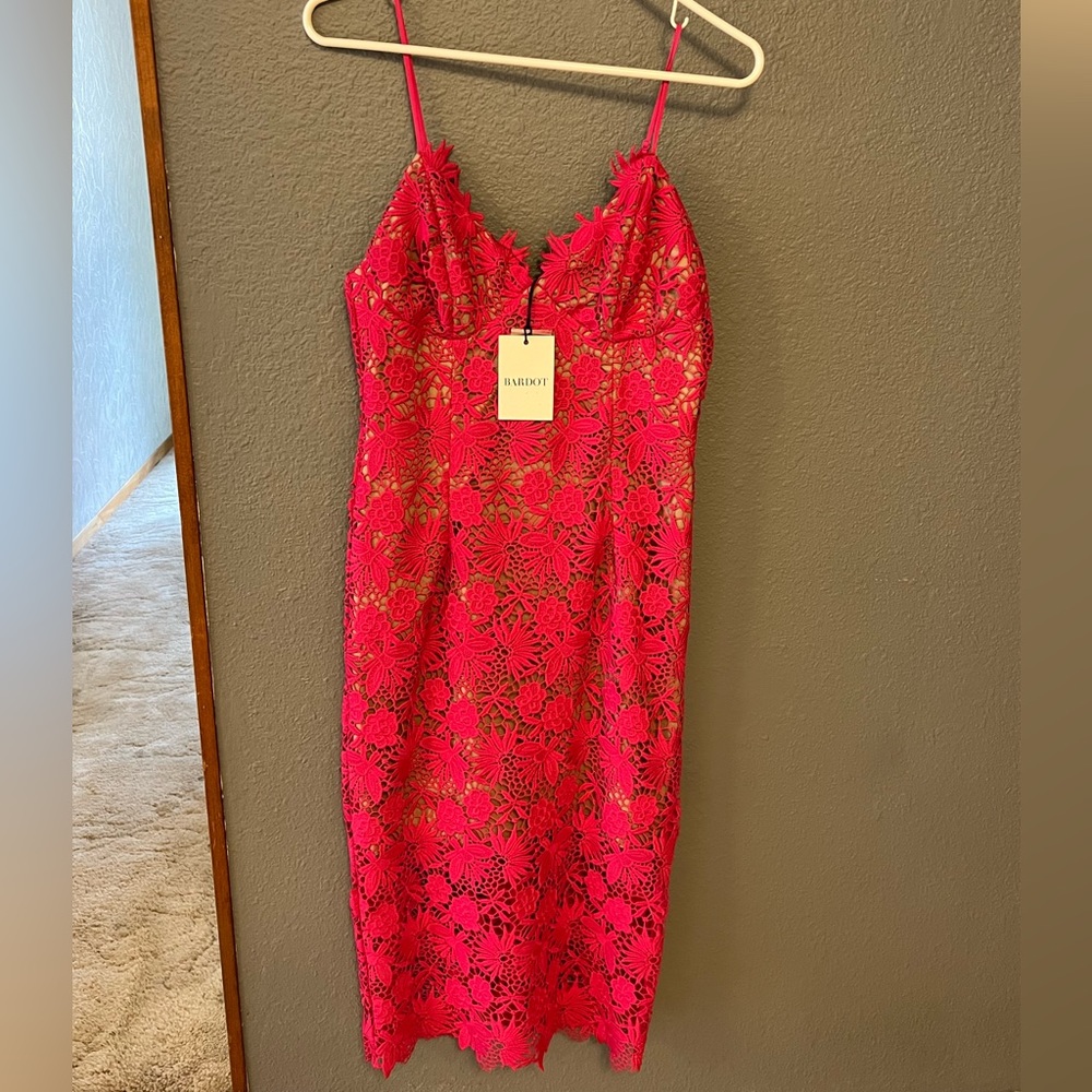 Bardot Dresses| Bardot Tayla Lace Dress